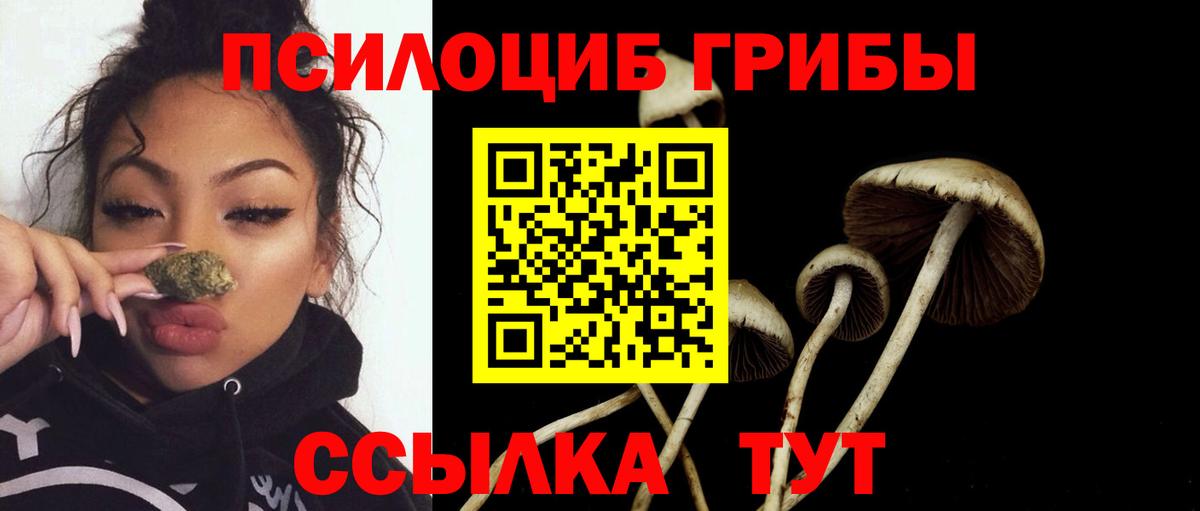 Галлюциногенные грибы прущие грибы  Галлюциногенные грибы ЛСД  Учалы  где найти наркотики  Вход с VPN 